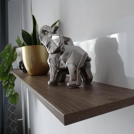 Sienkiewicza Multi House Rzeszow