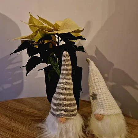 Sienkiewicza Multi House Appartamento Rzeszów