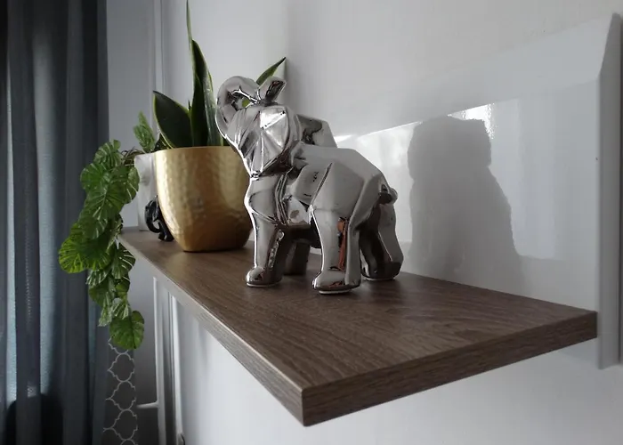 Sienkiewicza Multi House 热舒夫