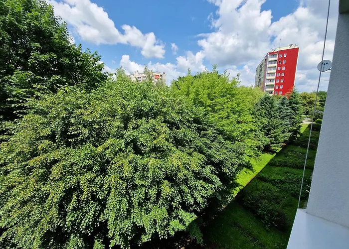 Sienkiewicza Multi House Rzeszow